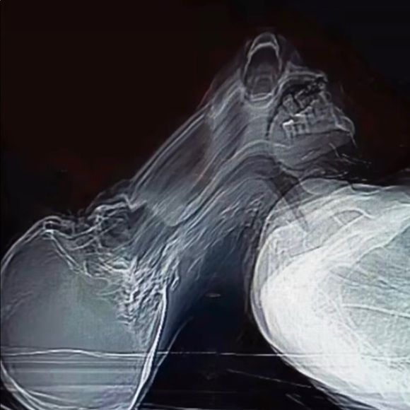 Meet your Posher, Daniel - Picture 1 of 1